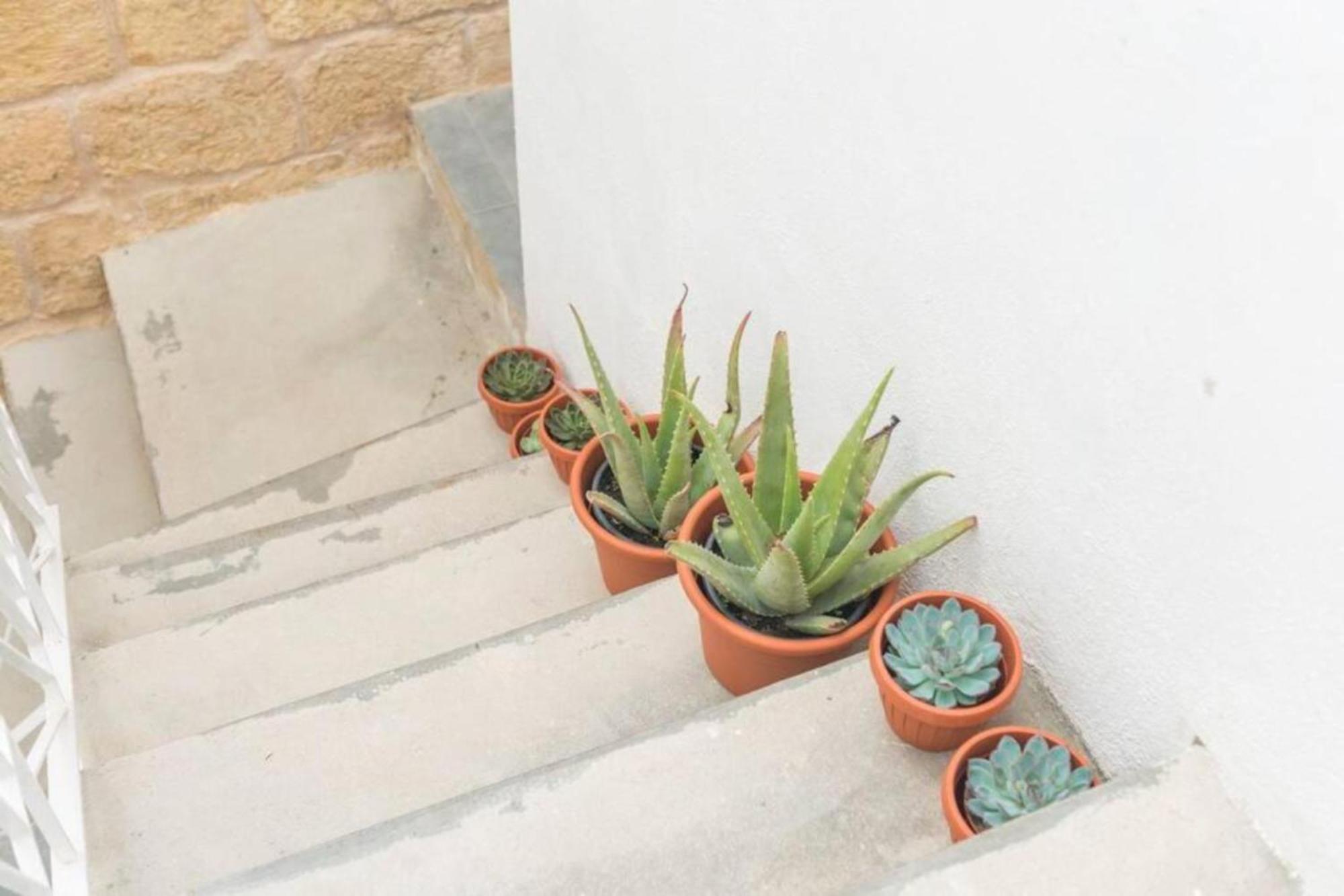 Authentic Gf Apartment With Terrace At The 3 Cities Marina Cospicua Bagian luar foto